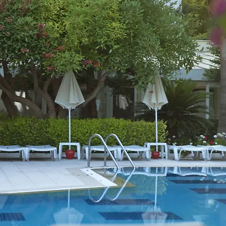 Trendy Adults Only 4* Side